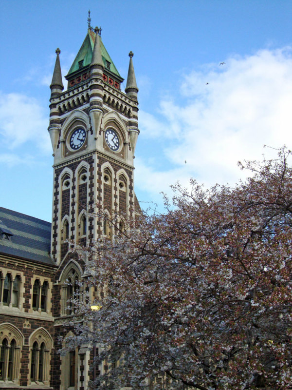 The Otago Memorial – Live Like Ally Foundation